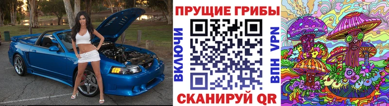 Псилоцибиновые грибы Psilocybine cubensis  магазин    Приволжский 