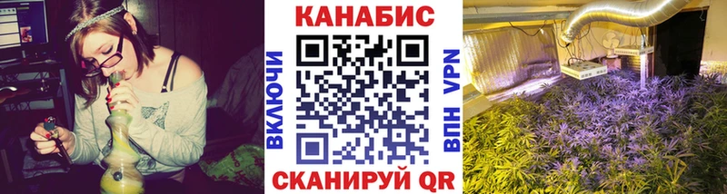 Конопля гибрид  закладки  Приволжский 